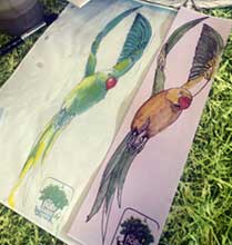 Painting of parakeet